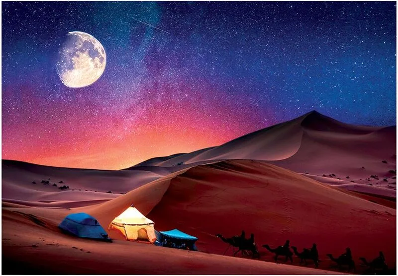 Παζλ 500 Peace Starry Night Dream (1220-35527) - φωτογραφία 2