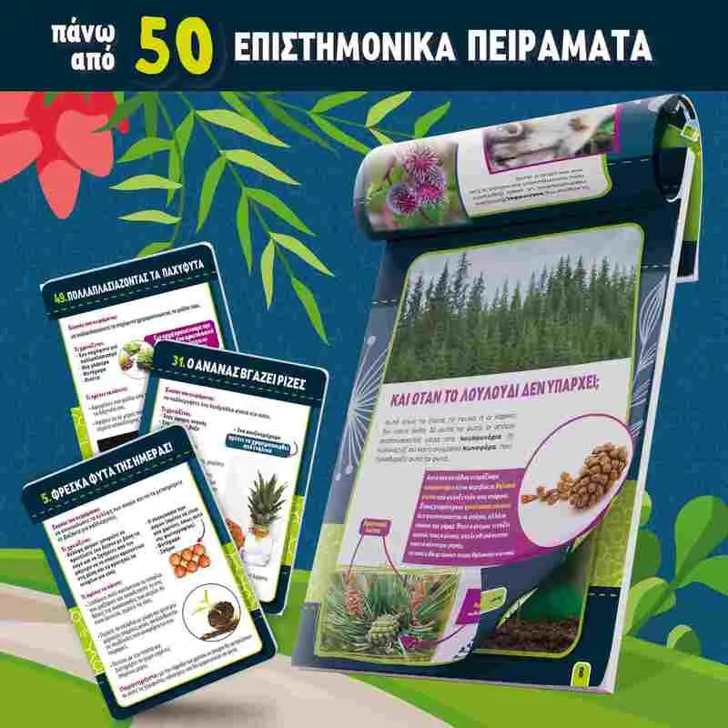 Επιτραπέζιο Βοτανική (09.97364) - φωτογραφία 3