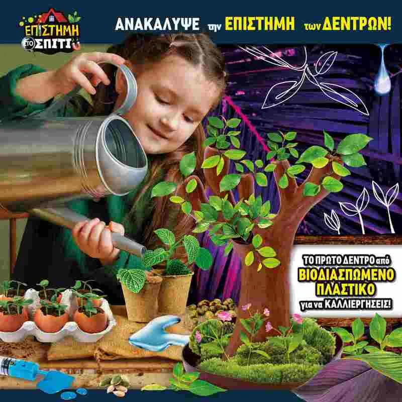 Επιτραπέζιο Βοτανική (09.97364) - φωτογραφία 4